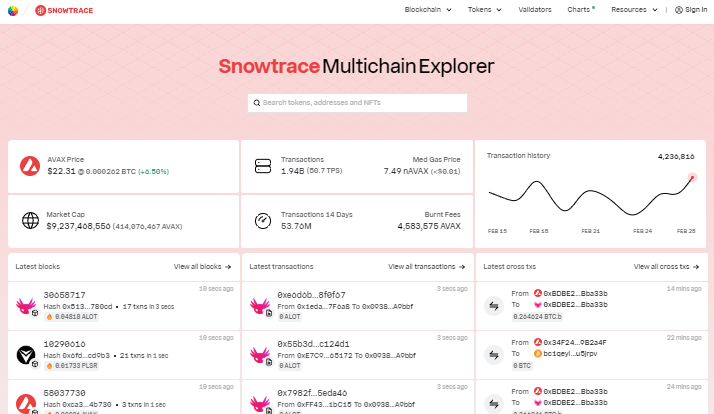 Avalanche Explorer