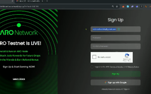 融资 210 万美金，又一个 DePIN 挂机大毛：ARO Network保姆教程